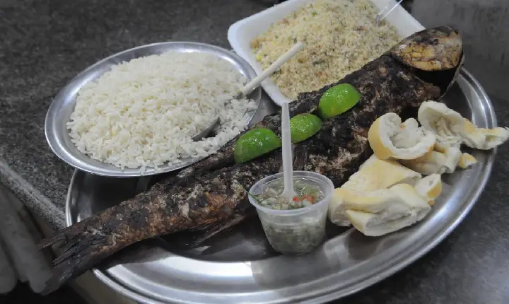 39ª Festa da Tainha começa  neste sábado (2), em Guarujá