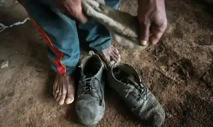 Amado Batista e BYD são incluídos em lista de trabalho escravo do MTE