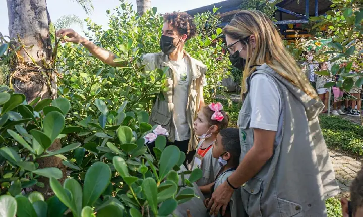 Bertioga abre inscrições para cursos de férias gratuitos de educação ambiental