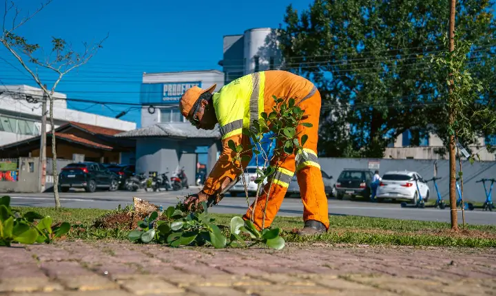 Bertioga ultrapassa a marca de 1.700 mudas plantadas em ação de arborização urbana