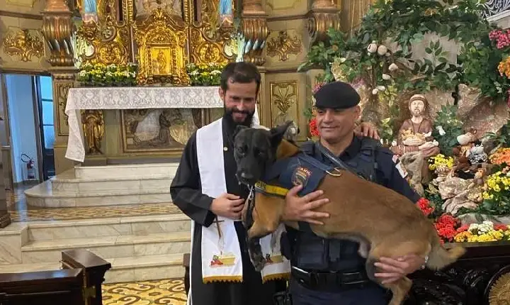 Cães da GCM de Santos são abençoados no dia de São Francisco