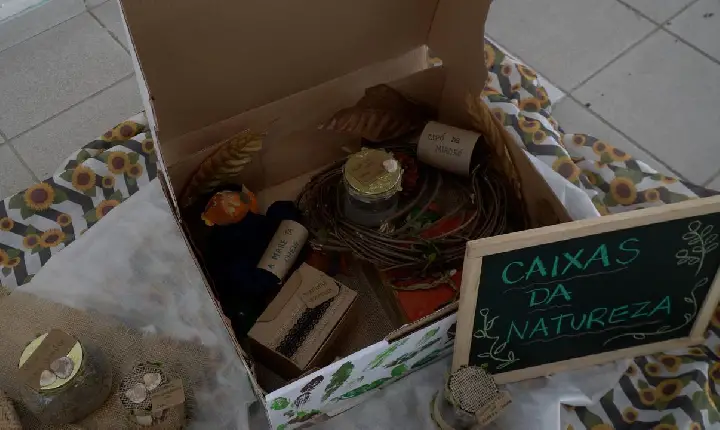 ‘Caixas da Natureza’ são enviadas por alunos  da Educação Infantil de Guarujá