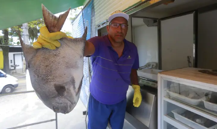Caminhão do Peixe retoma serviços em janeiro