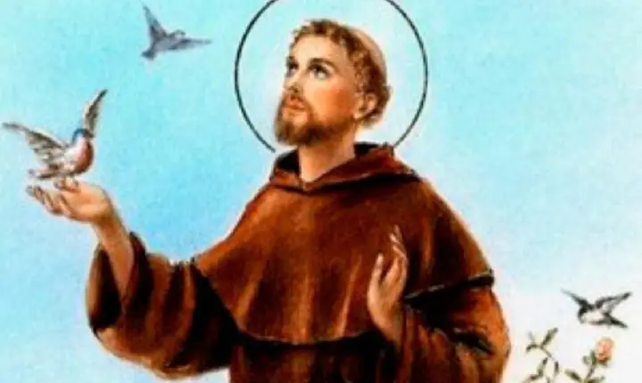 Celebre o Dia de São Francisco: Amor e Respeito para Todos os Seres Vivos