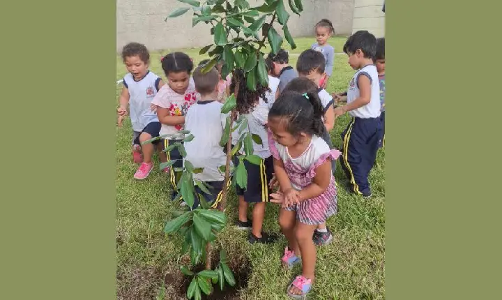 Crianças comemoram Dia Nacional da Mata Atlântica com plantio de dez árvores em creche da Área Continental