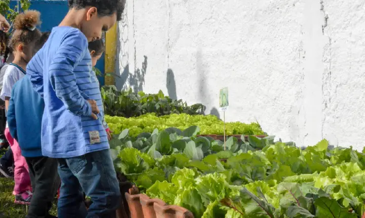 Escolas de Guarujá comemoram Dia Mundial do Meio Ambiente com oficinas e passeios