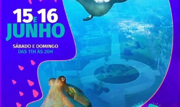 Festival de economia criativa e arte agita a Ponta da Praia de Santos no fim de semana