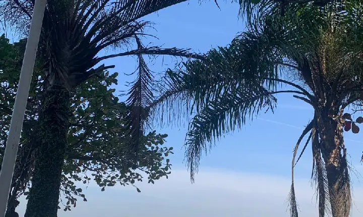 Guarujá dá um passo verde: Pacto pelo Desenvolvimento Sustentável se torna realidade!