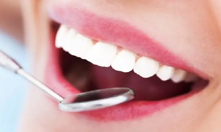 “Guarujá Realiza Fórum Municipal de Saúde Bucal para Fortalecer e Capacitar Profissionais da Rede Pública”