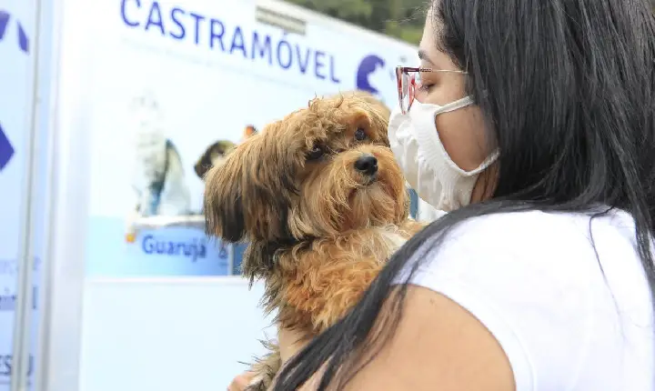 Guarujá realiza mutirão de cadastros para castração animal