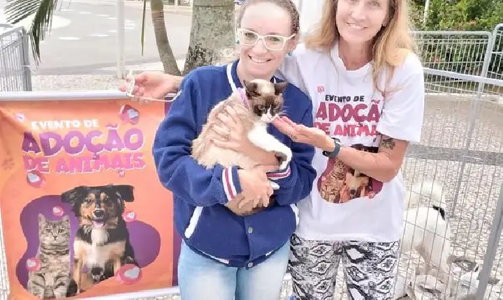 Guarujá têm 1ª edição do Jequiti Pet Day, nesta sexta-feira (3)