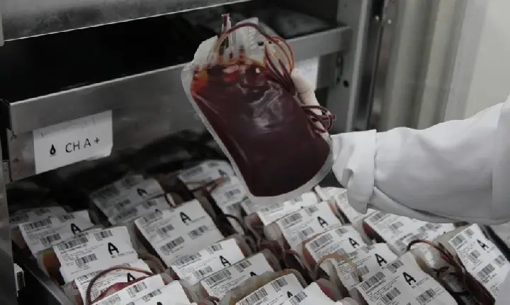 Junho Vermelho e Laranja: Santos chama atenção para campanhas de conscientização sobre doação e saúde do sangue