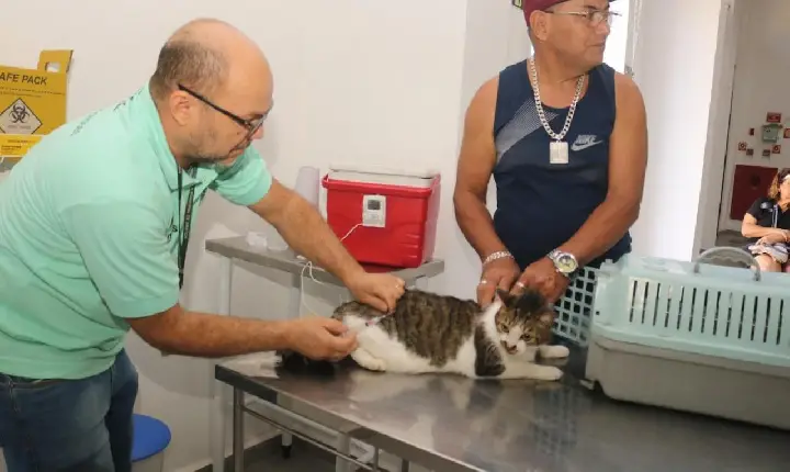 Mais 110 pets estão protegidos contra a raiva.