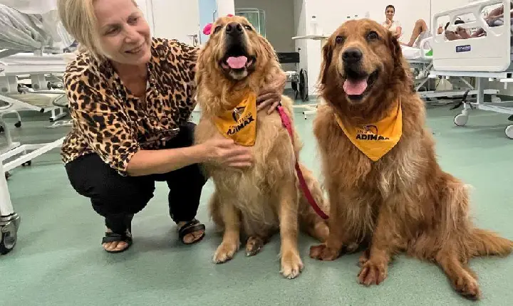 Mel e Boris encantam pacientes e servidores no Hospital do Vicentino