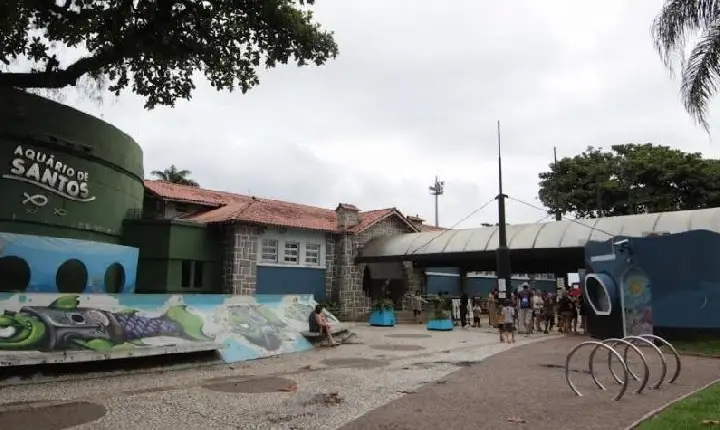 Mulheres de camiseta rosa têm entrada gratuita no Aquário de Santos nesta quarta