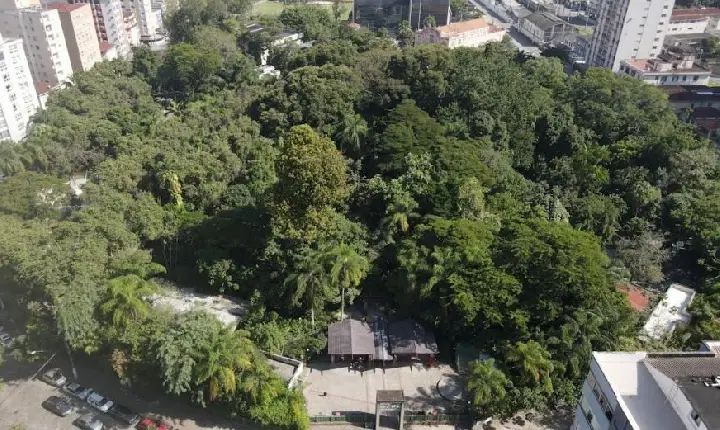 Orquidário de Santos celebra Dia Mata Atlântica com exposição sobre árvores nativas