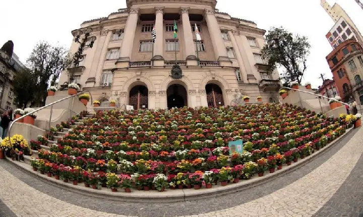 Primavera Criativa vai transformar Santos em palco de arte, cultura e conexão