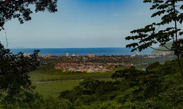 Profissionais vistoriam trilha turística em Bertioga para instalar pontes de madeira