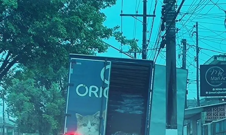 Romu recupera caminhão roubado