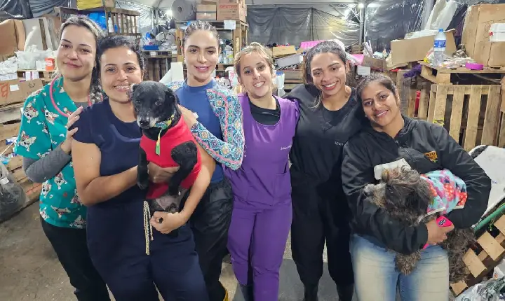 Voluntários de Guarujá viajam até Canoas para auxiliar nos cuidados com animais