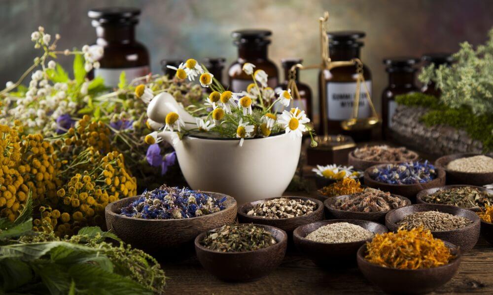 Guarujá abre vagas para curso   gratuito de aromaterapia no dia 2