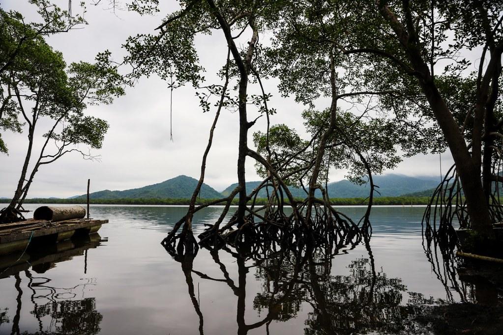 Guarujá é destaque em conferência mundial com modelo de governança ambiental
