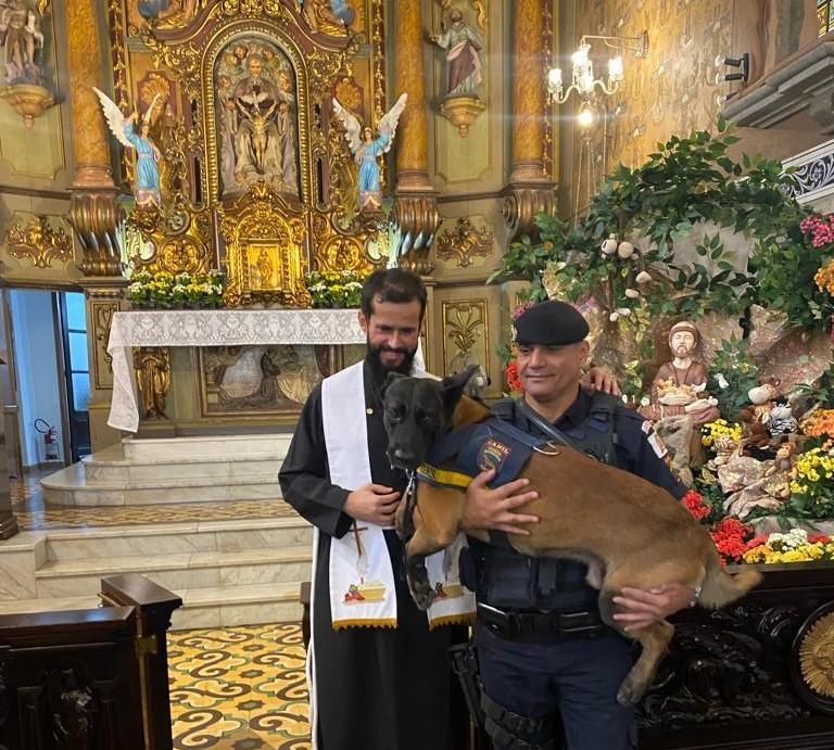 Cães da GCM de Santos são abençoados no dia de São Francisco