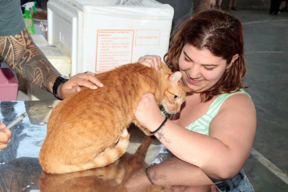 Santos inicia campanha de vacinação gratuita de cães e gatos na segunda