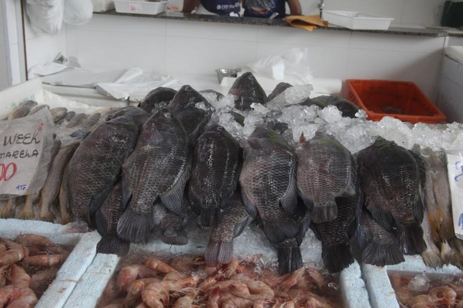 Mercado de Peixes de Santos oferece tilápia com mais de 20% de desconto