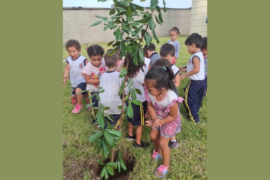 Crianças comemoram Dia Nacional da Mata Atlântica com plantio de dez árvores em creche da Área Continental