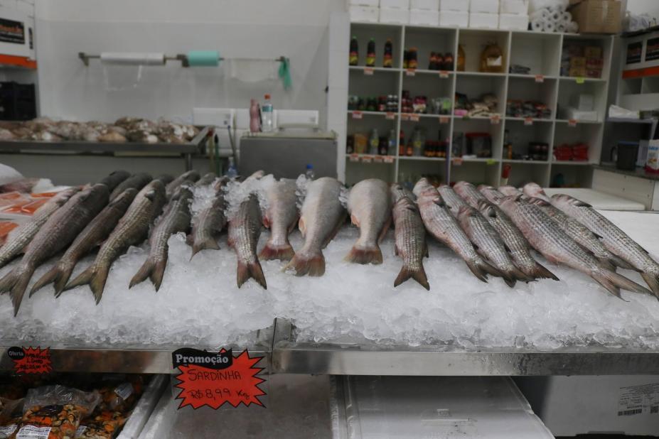 Mercado de Peixes de Santos lança Festival da Tainha com preços históricos: só R$ 11,99!