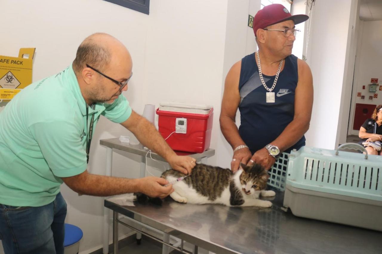 Mais 110 pets estão protegidos contra a raiva.