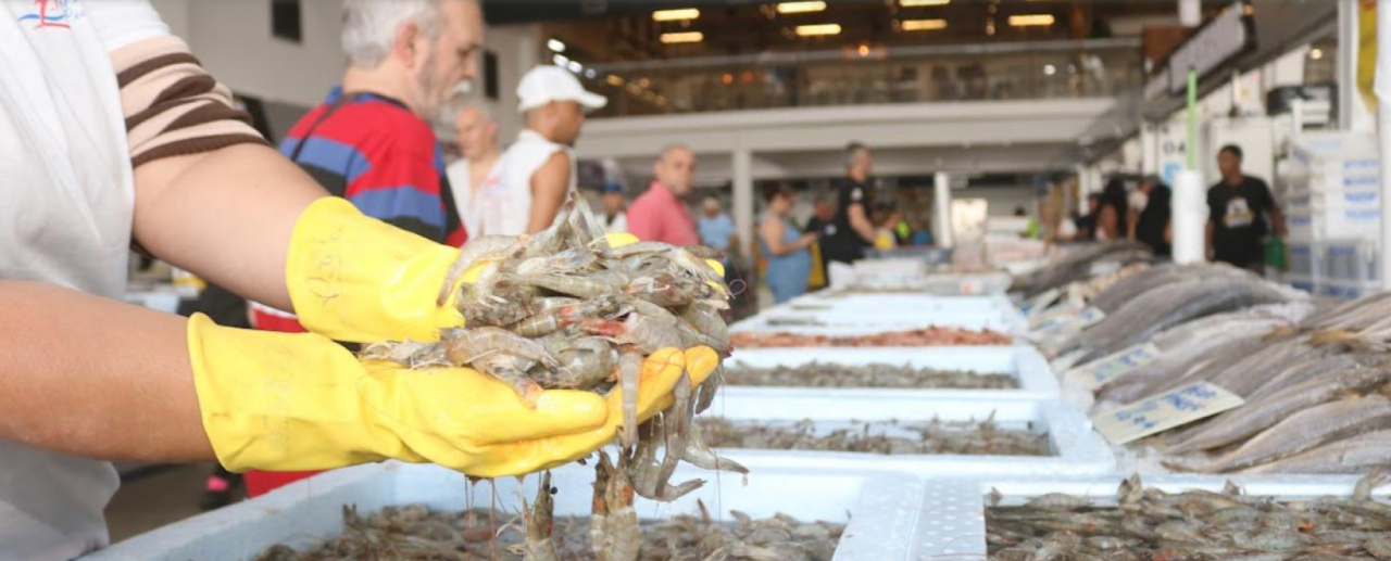Festival do Camarão movimenta Mercado de Peixes de Santos até domingo